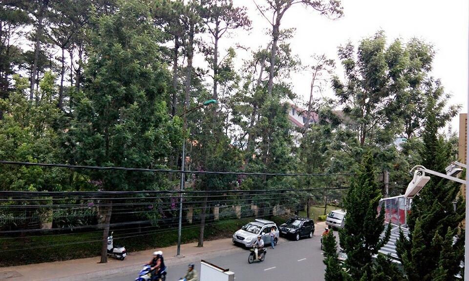 Trang Thanh 2 Guest House Da Lat Exterior foto